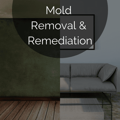 Is your home contaminated with Mold? We can remove, remediate and restore your property!