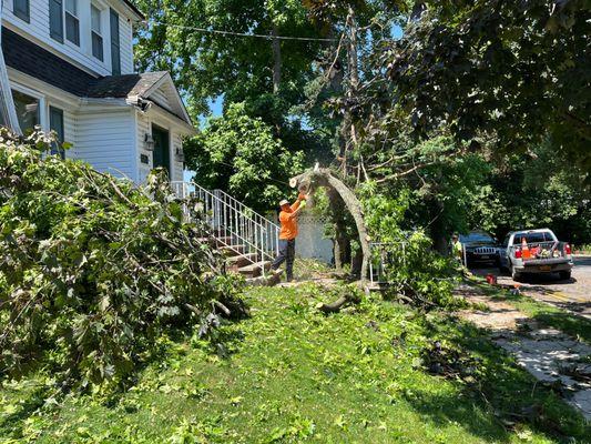 Kelly's Tree Service