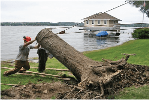 Classic Drainage, Inc. large root ball and stump removal