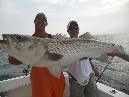 Striped Bass caught on the Black Rock