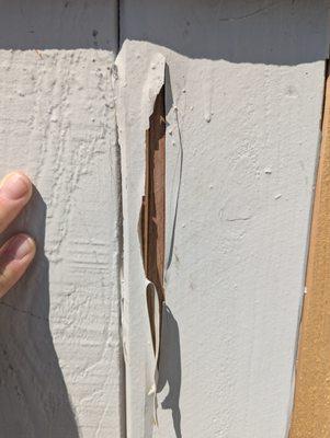 paint removed to show that it is a crack and not termites