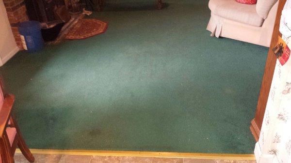 Carpet shampooing job stains remove and odor remove before picture