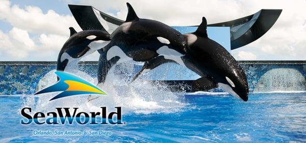 Miami Seaquarium Tours Tickets & Round Trip Transportation