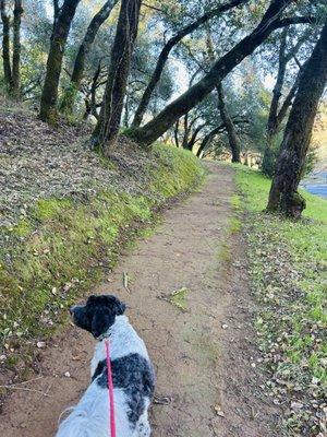 Love that this place is dog friendly (up to a 6 ft leash). Please use the poop bags provided