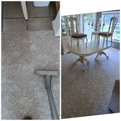 Morales Brother's Carpet Cleaning