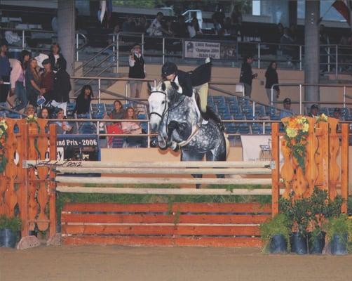 Little Davey competing in the $10,000.00 International Hunter Derby at LAEC