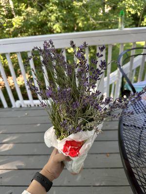 Fresh lavender