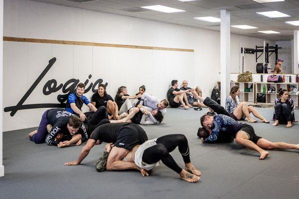 Open Mat at Logic Bjj in Land Park, CA.
 Jiu Jitsu Classes
 Brazilian Jiu Jitsu (BJJ)
 Self-Defense Training
 Martial Arts Training
 Kids