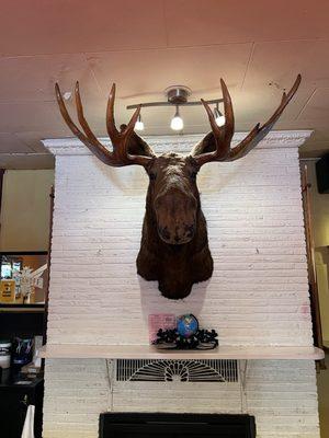 The Moose!! I call him Mikey.  This place is great.