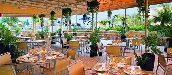 http://www.trumpmiami.com/miami-restaurants/neomis/index.cfm