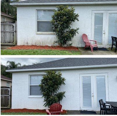 Pressure washing mildew