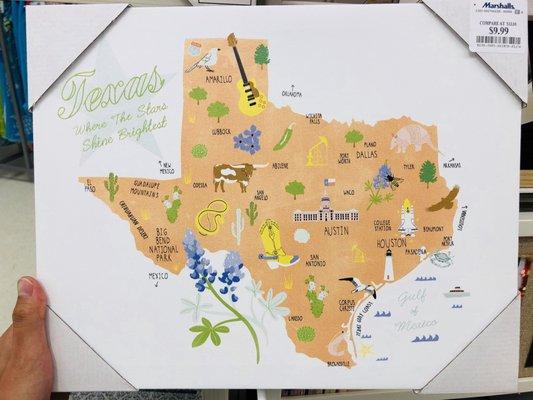 A wall art of Texas. I was expecting Houston to have an obnoxious symbol, so I'm slightly disappointed