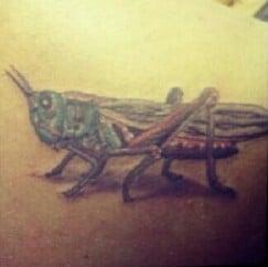 Nikki C's birthday tatt - a locust.