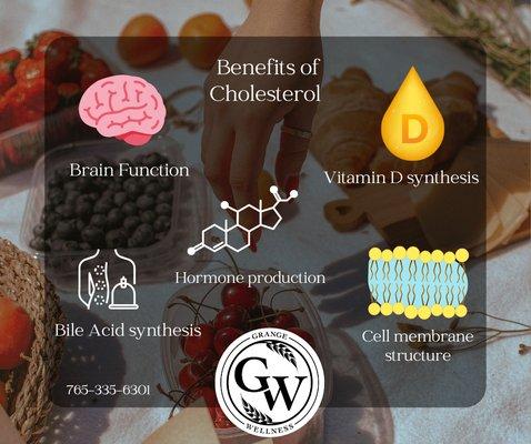 Why we need Cholesterol
#indygethealthy
#functionalneurology
#LukeNelliganDO
#MatthewBainNeurology