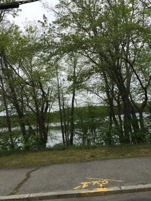 Buckmaster Pond of Westwood -- 350 Pond Street, Westwood        Pond