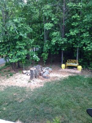 This is the side yard where a  Scarlet Oak was removed due its proximity to our house.  The pieces will be put to good use.