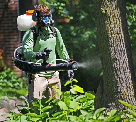 Eliminating mosquitoes, ticks and spiders at Lake Gaston and Kerr Lake