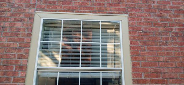 Home Window Repairs