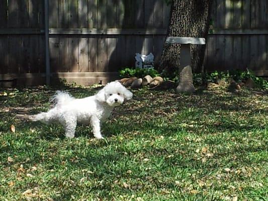 stretching our legs during a mid-day visit