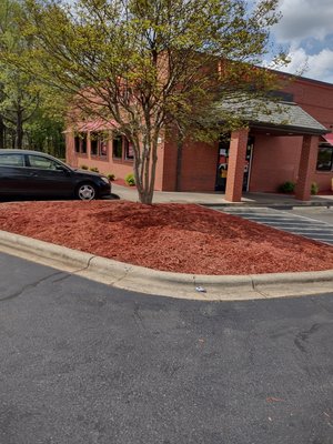 Mulch bed After