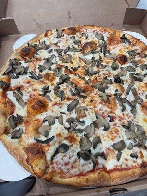 Mushroom pizza