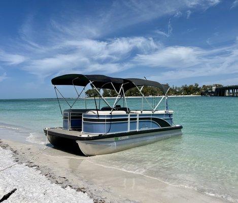 "Benny" on Beer Can island waiting for family fun and to catch a sunset on Anna Maria Island!