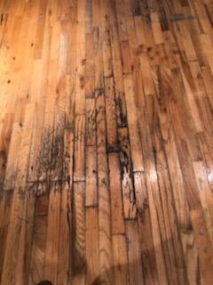 BEFORE:
 
 Sand/ Seal, Refinish Hard Wood Floors.
 Two coats of Absco Water-Born Satin Finish.