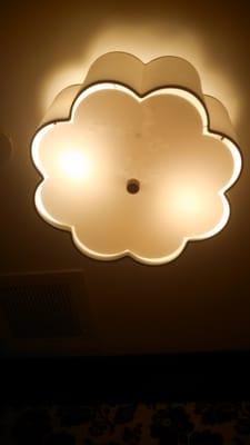 Cute dimmed overhead lighting