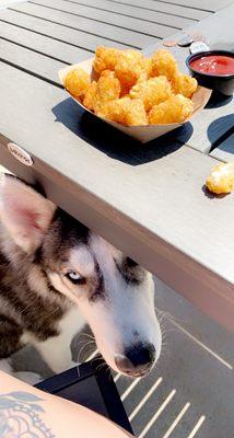 Dog friendly patio!