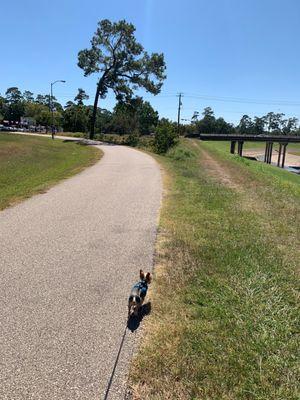 Bike trail with a tiny friend