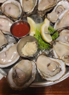 Oysters