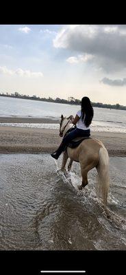 Jamaica Bay Riding Academy