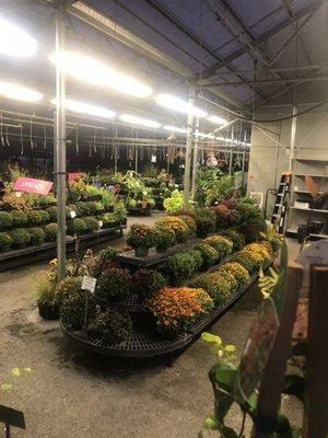 Garden Center