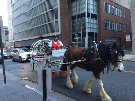 Cinderella Carriage arrives right on schedule.