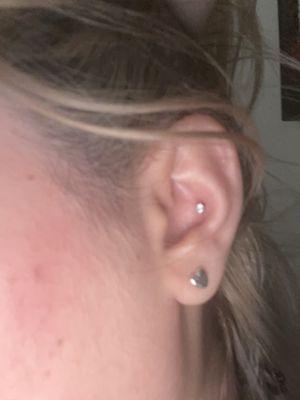 Conch Piercing