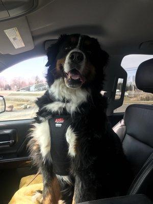 This is Oliver, excited for his visit to Thorpe!