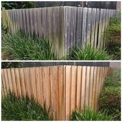 Cedar fence SoftWash restoration