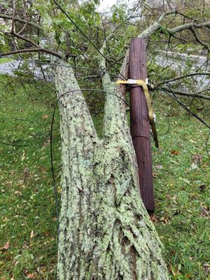 Eversource pole got strapped to my tree then fell across my driveway. They won't remove it or the pole. Not acceptable