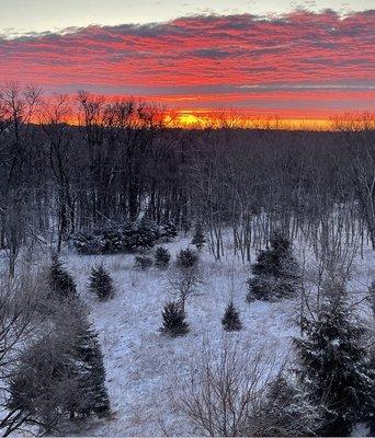 View from my deck. Looking over the Zorinsky Preserve.