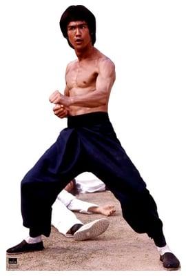 Bruce Lee *1043 standup