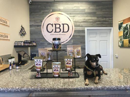 Puppies LOVE CBD Dog Bitez!! We carry CBD Oil for dogs too.