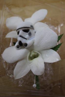 Close-up of Stormtrooper boutonnière