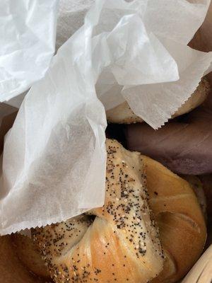 Bagels by the Dozen-12 Plus 3 FREE