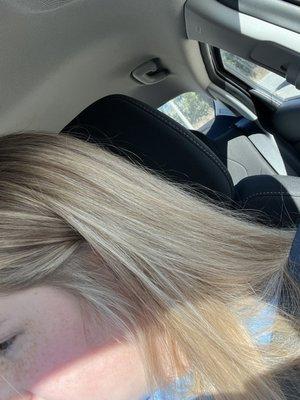 Blonde Highlights