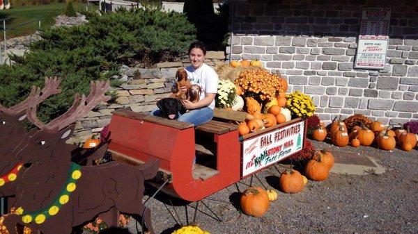 Kohl's Stony Hill Tree Farm and Christmas Shoppe