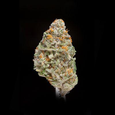 Jah Glue
 Flavorful Indica hybrid. Full of trichomes with subtle hints of purple