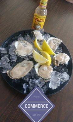 Half a dozen of oysters