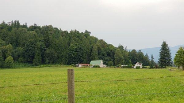 Saturday, July 31, 2021 - view from Wayside Chapel