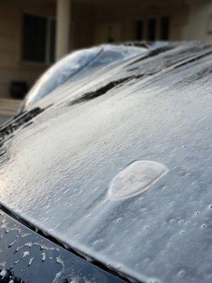 2020 Porsche 911 Carrera S getting a wash.