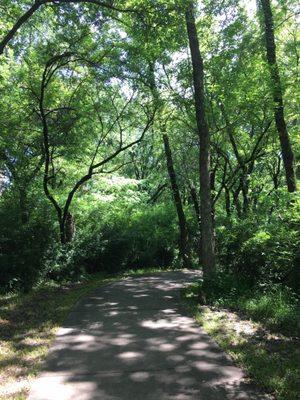 wooded trail